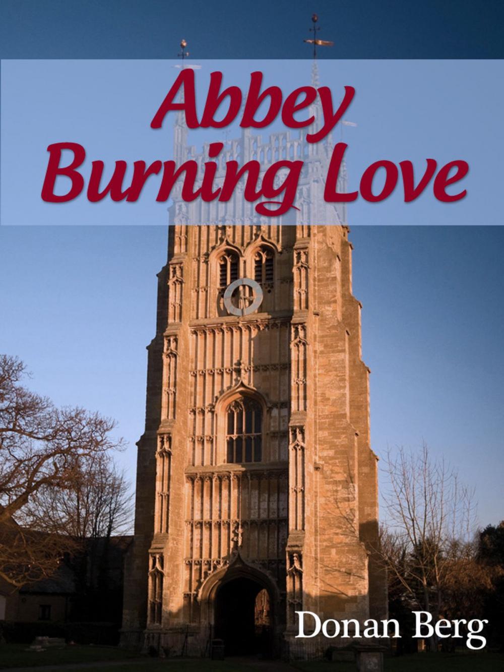 Big bigCover of Abbey Burning Love