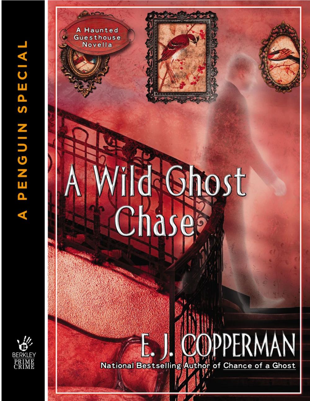 Big bigCover of A Wild Ghost Chase