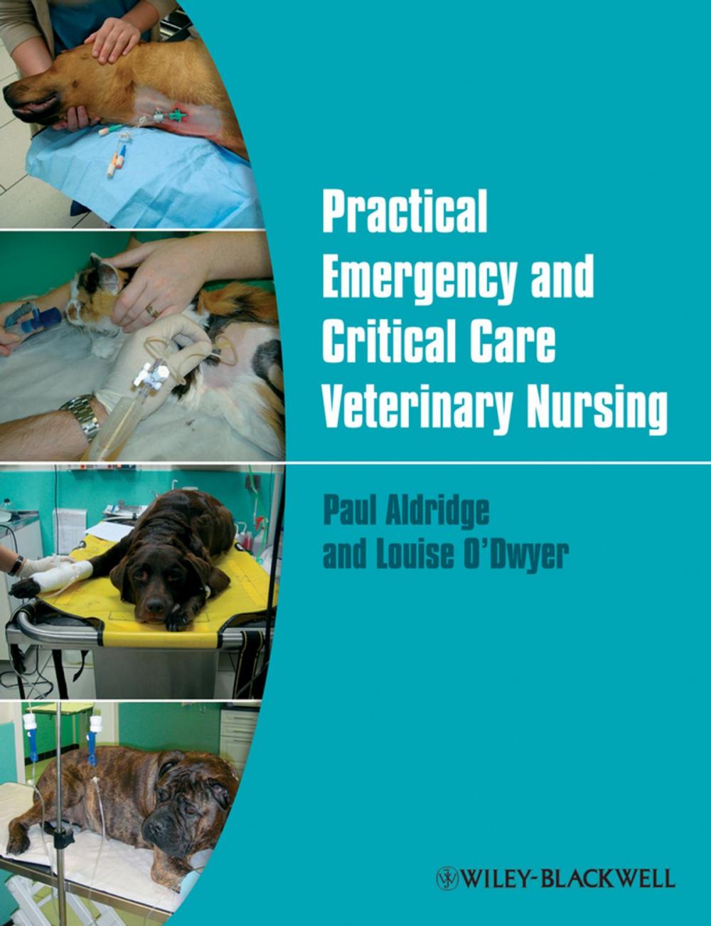 Big bigCover of Practical Emergency and Critical Care Veterinary Nursing