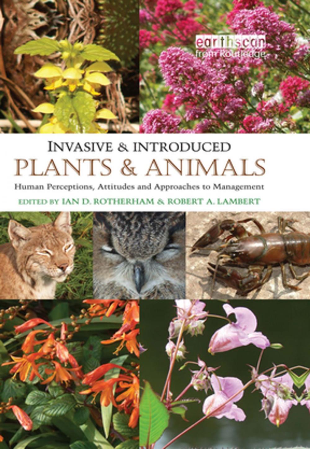 Big bigCover of Invasive and Introduced Plants and Animals