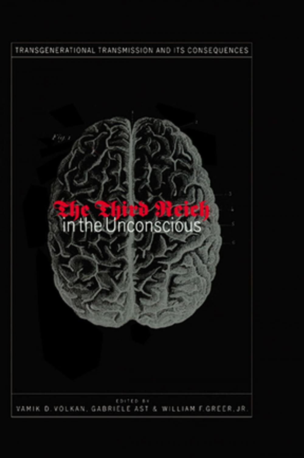 Big bigCover of Third Reich in the Unconscious