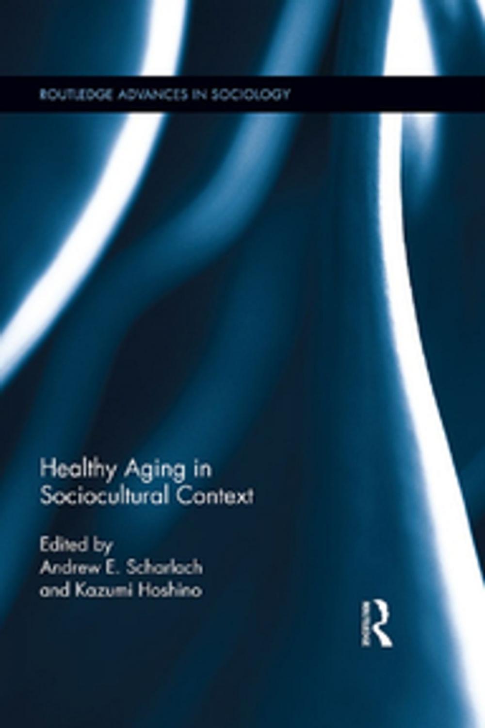 Big bigCover of Healthy Aging in Sociocultural Context