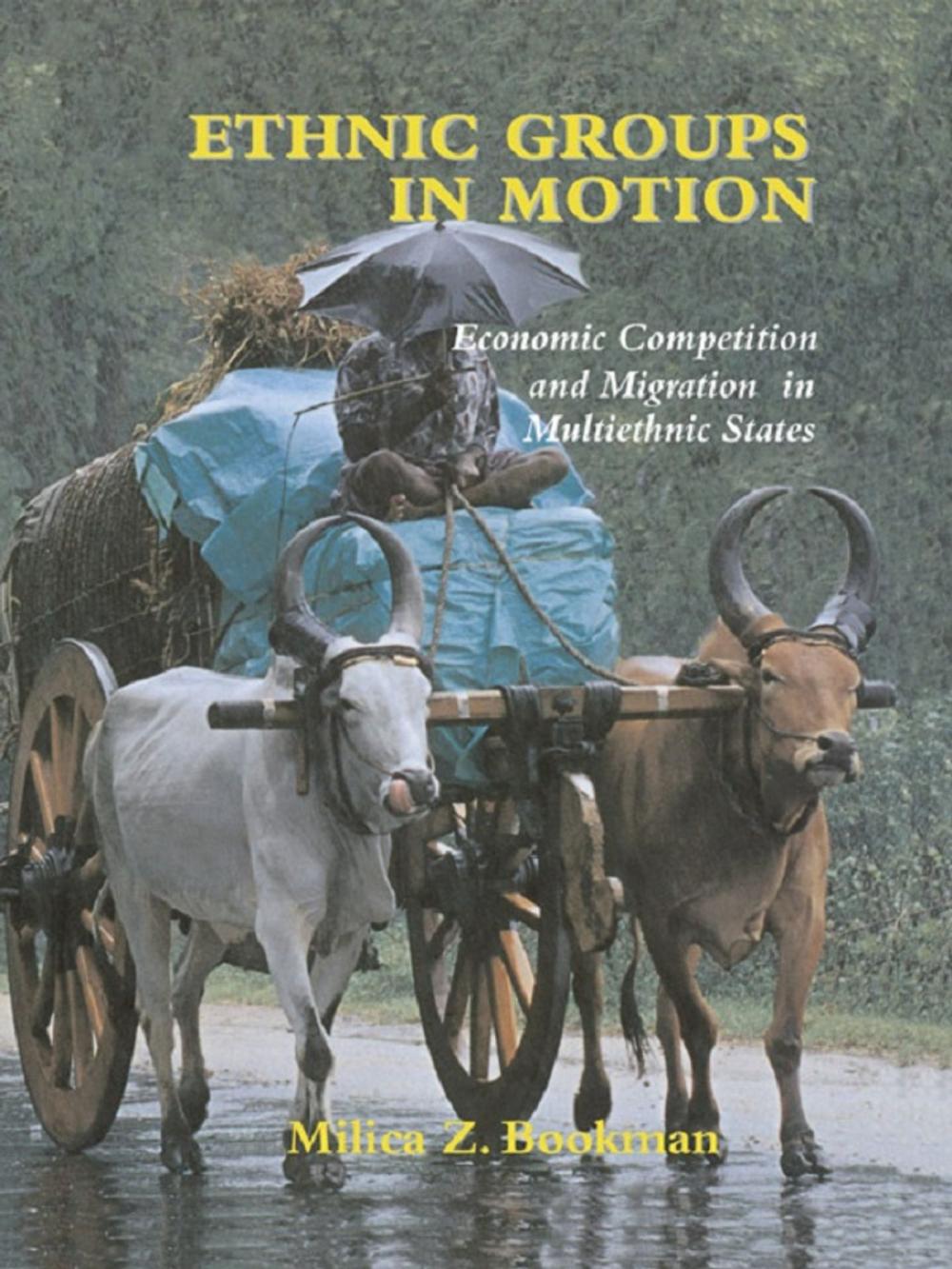 Big bigCover of Ethnic Groups in Motion