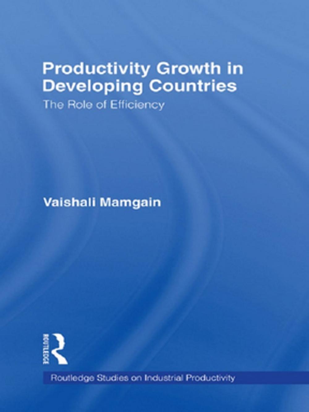 Big bigCover of Productivity Growth in Developing Countries