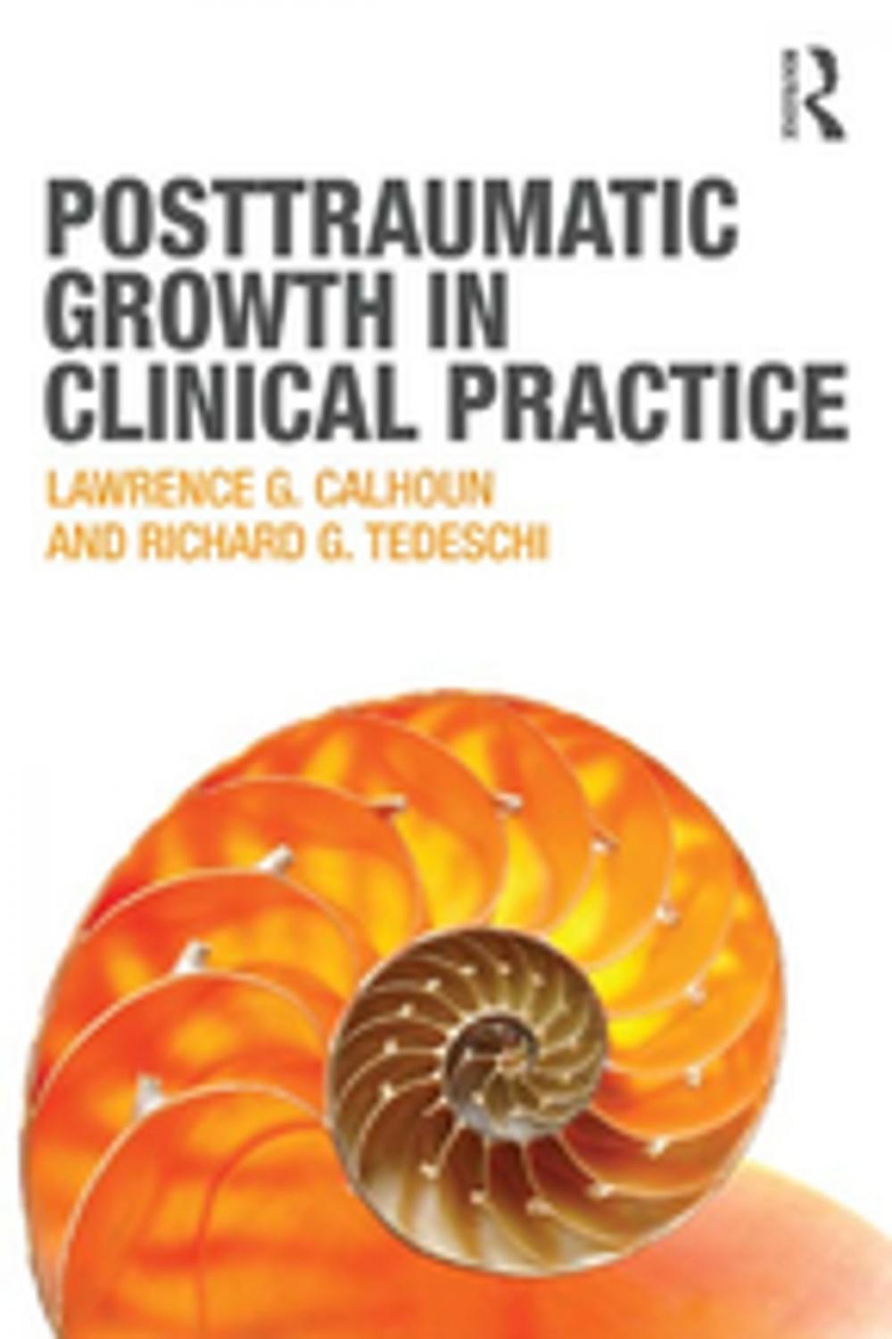 Big bigCover of Posttraumatic Growth in Clinical Practice