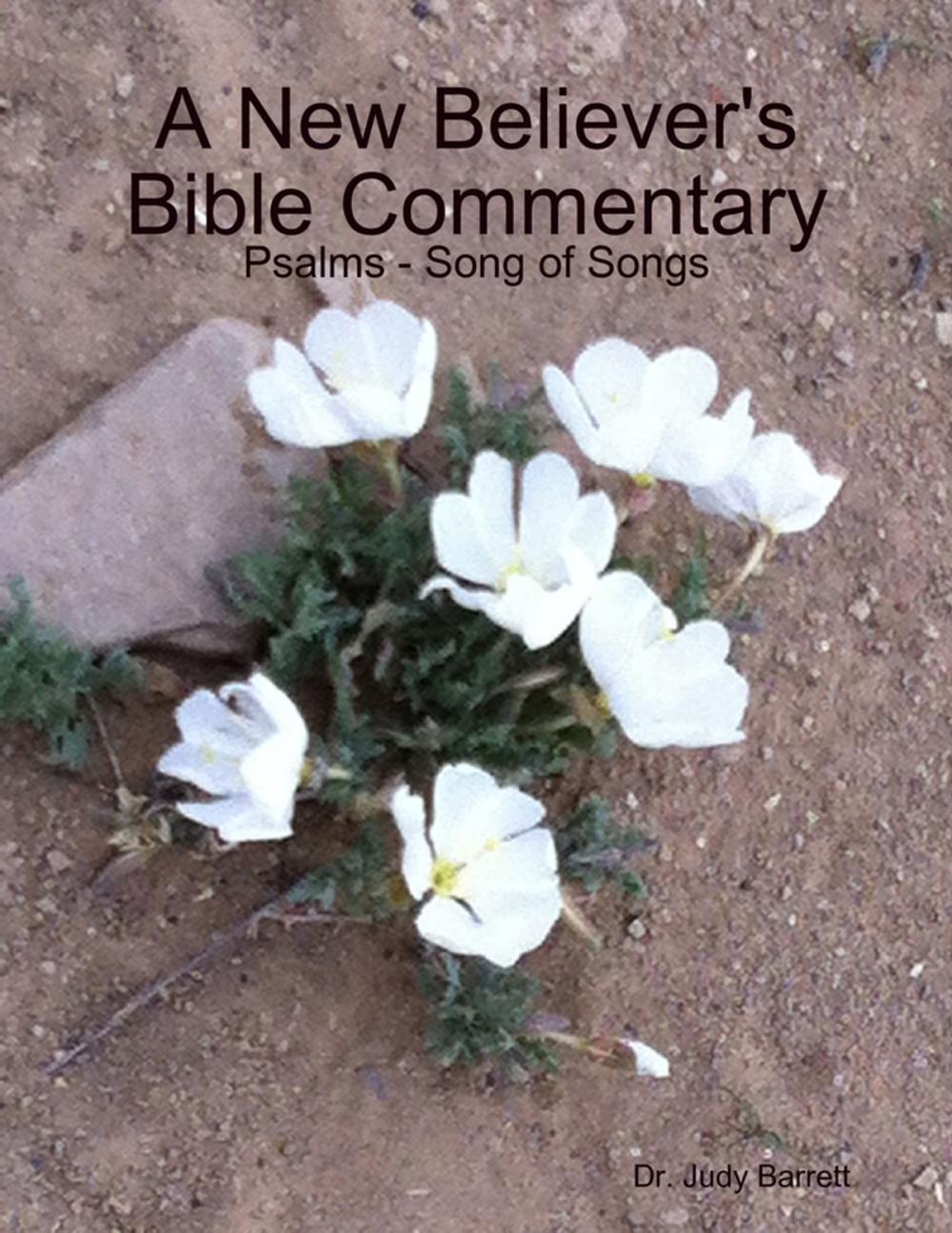 Big bigCover of A New Believer's Bible Commentary: Psalms - Song of Songs