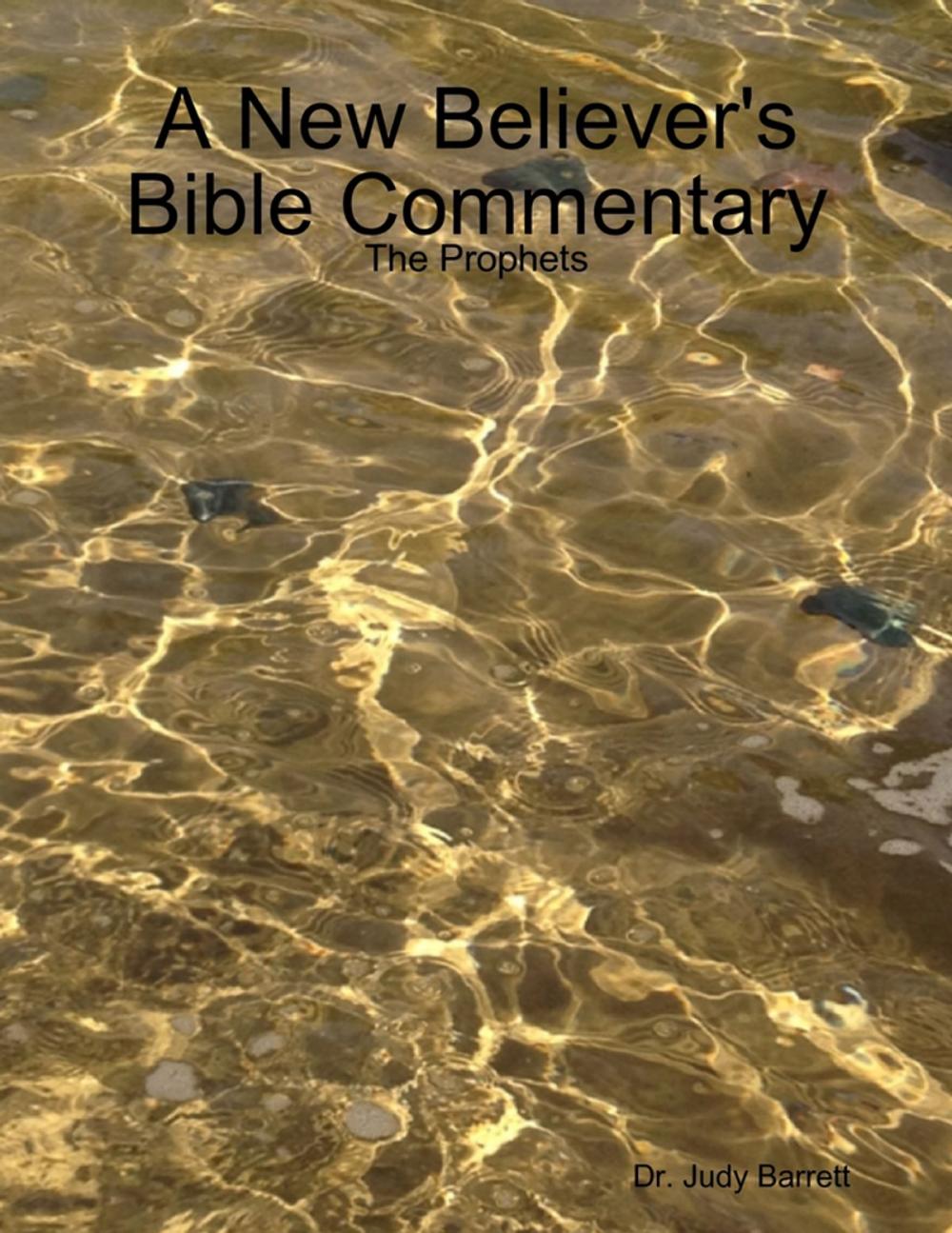 Big bigCover of A New Believer's Bible Commentary: The Prophets