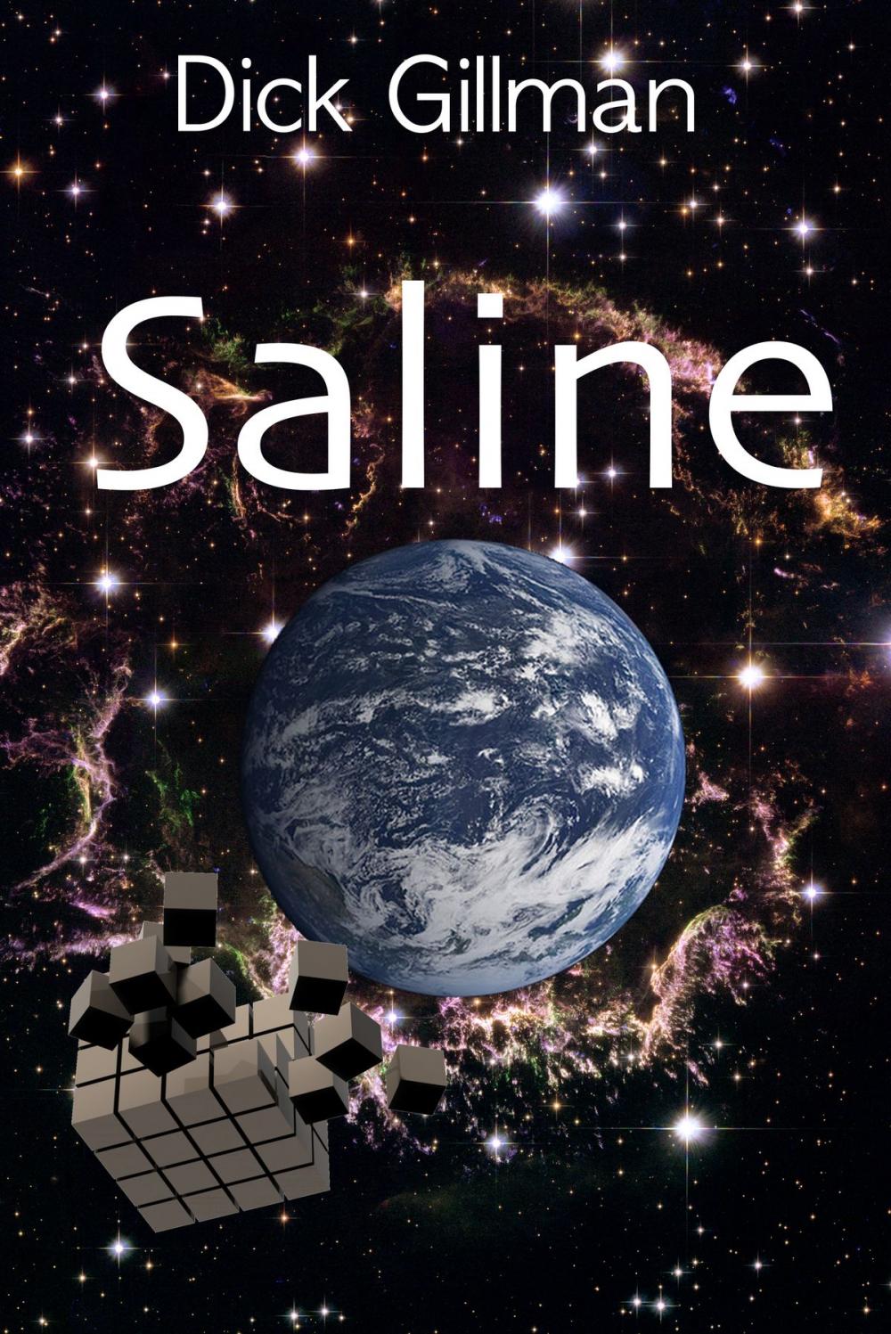 Big bigCover of Saline