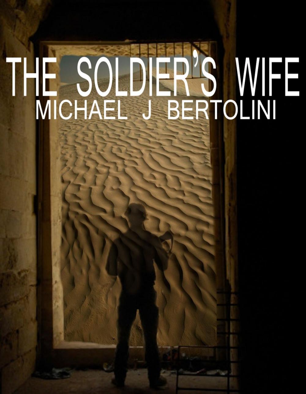 Big bigCover of The Soldier's Wife