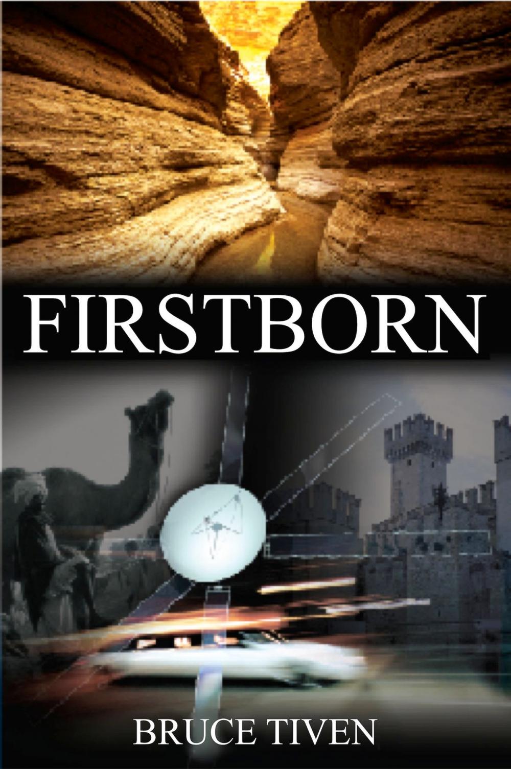 Big bigCover of Firstborn