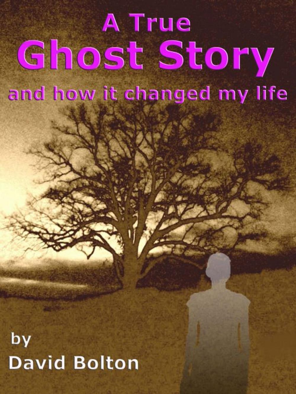 Big bigCover of A True Ghost Story: and how it changed my life