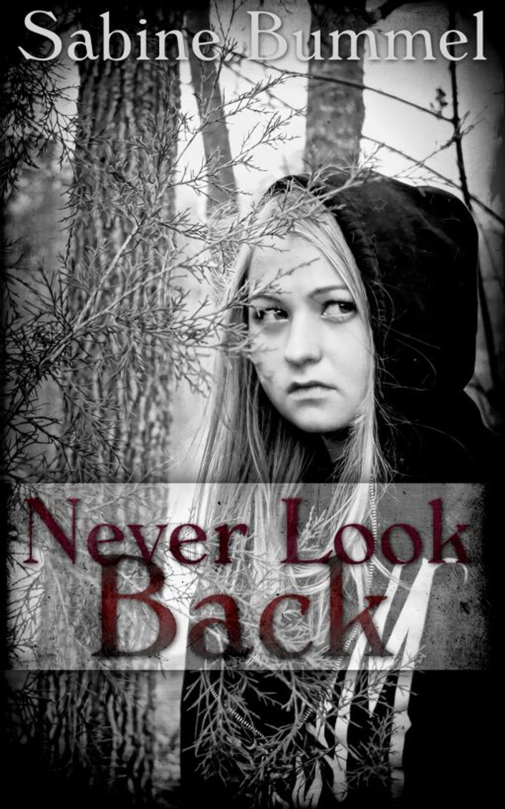 Big bigCover of Never Look Back