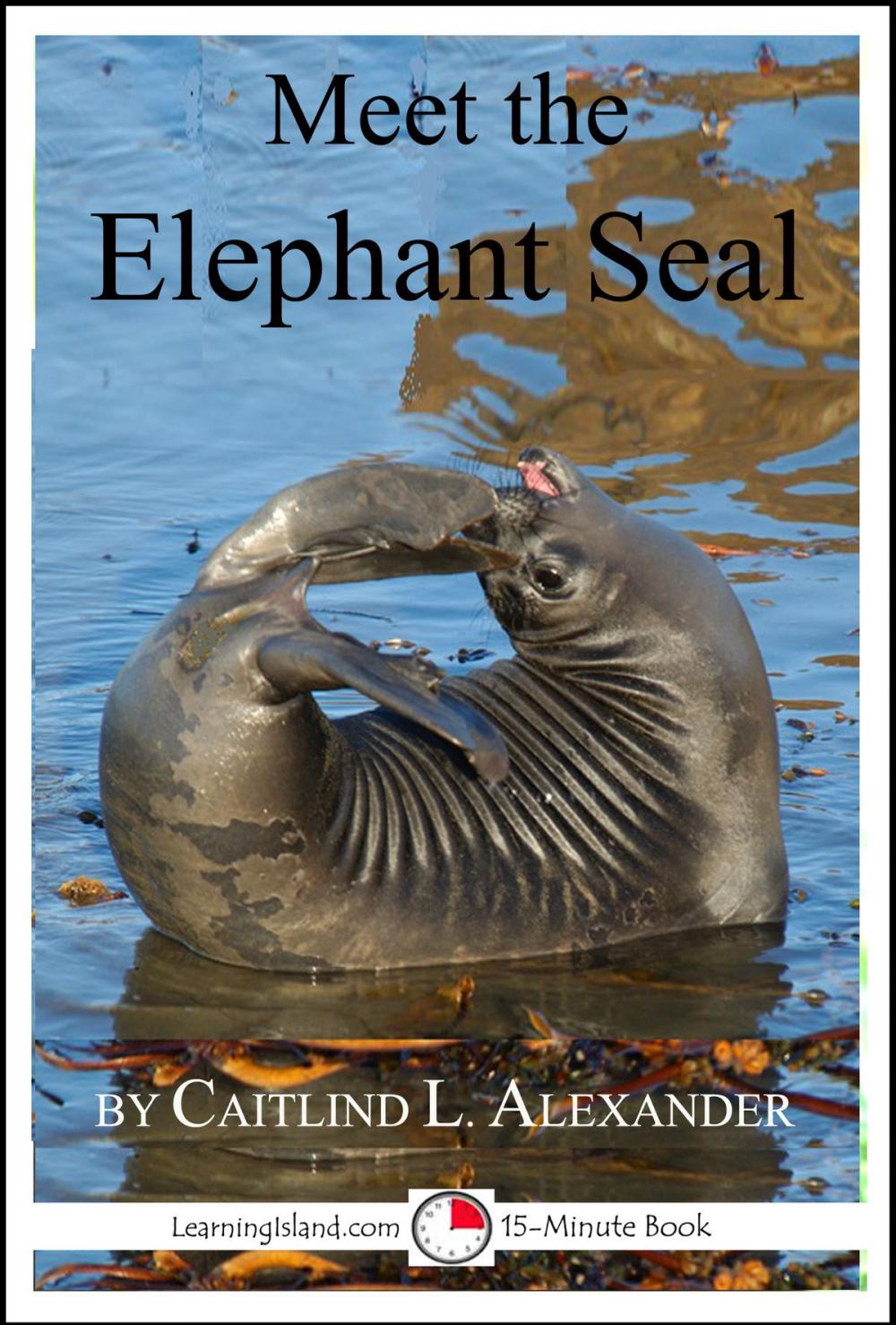 Big bigCover of Meet the Elephant Seal