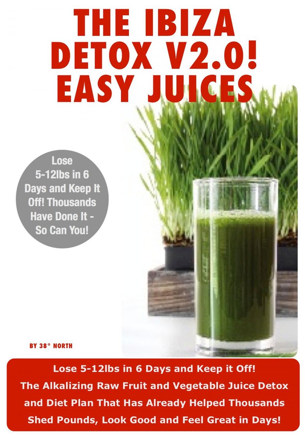 Big bigCover of Ibiza Detox Diet Plan V2.0! Easy Juices 2013