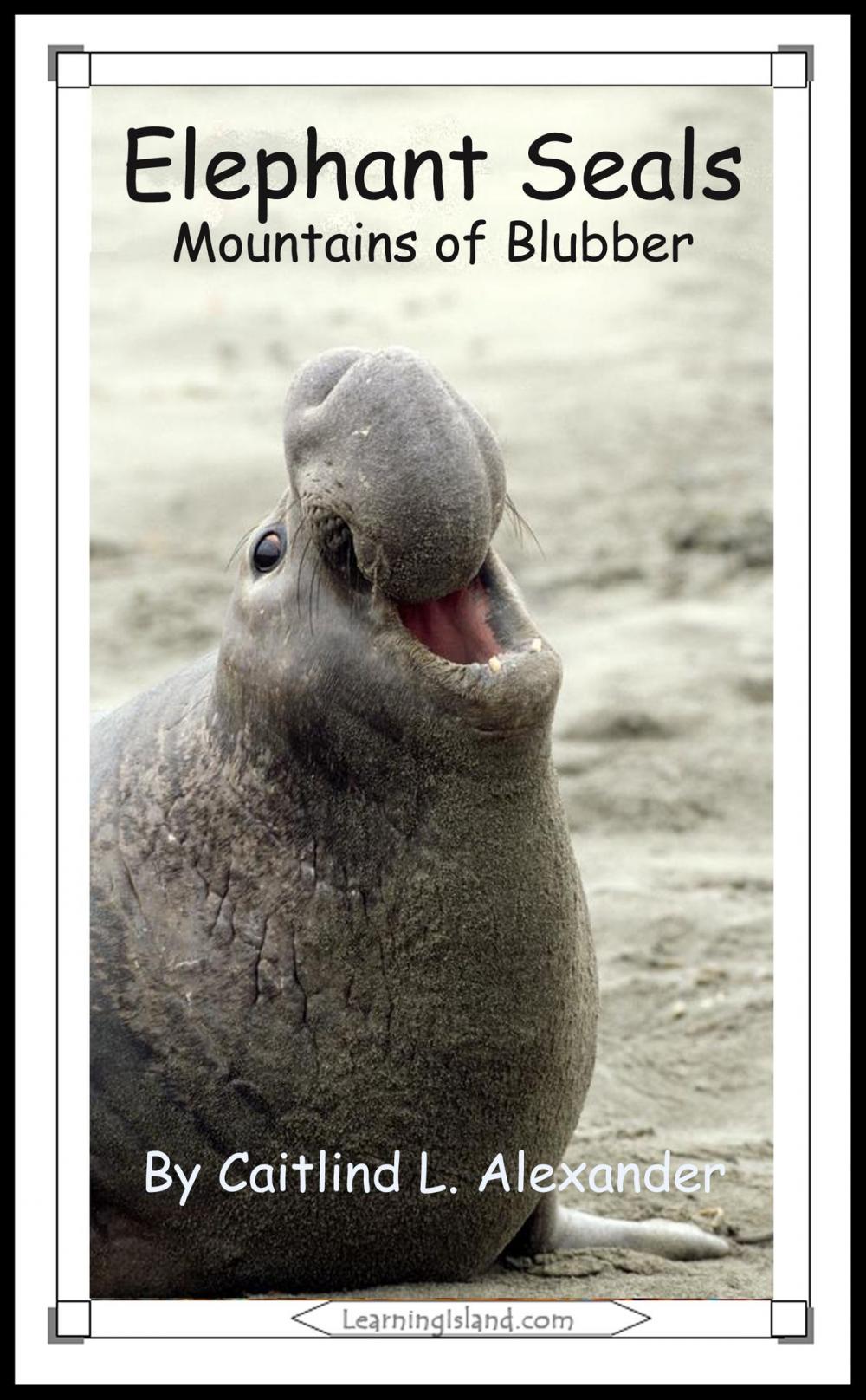 Big bigCover of Elephant Seals: Mountains of Blubber