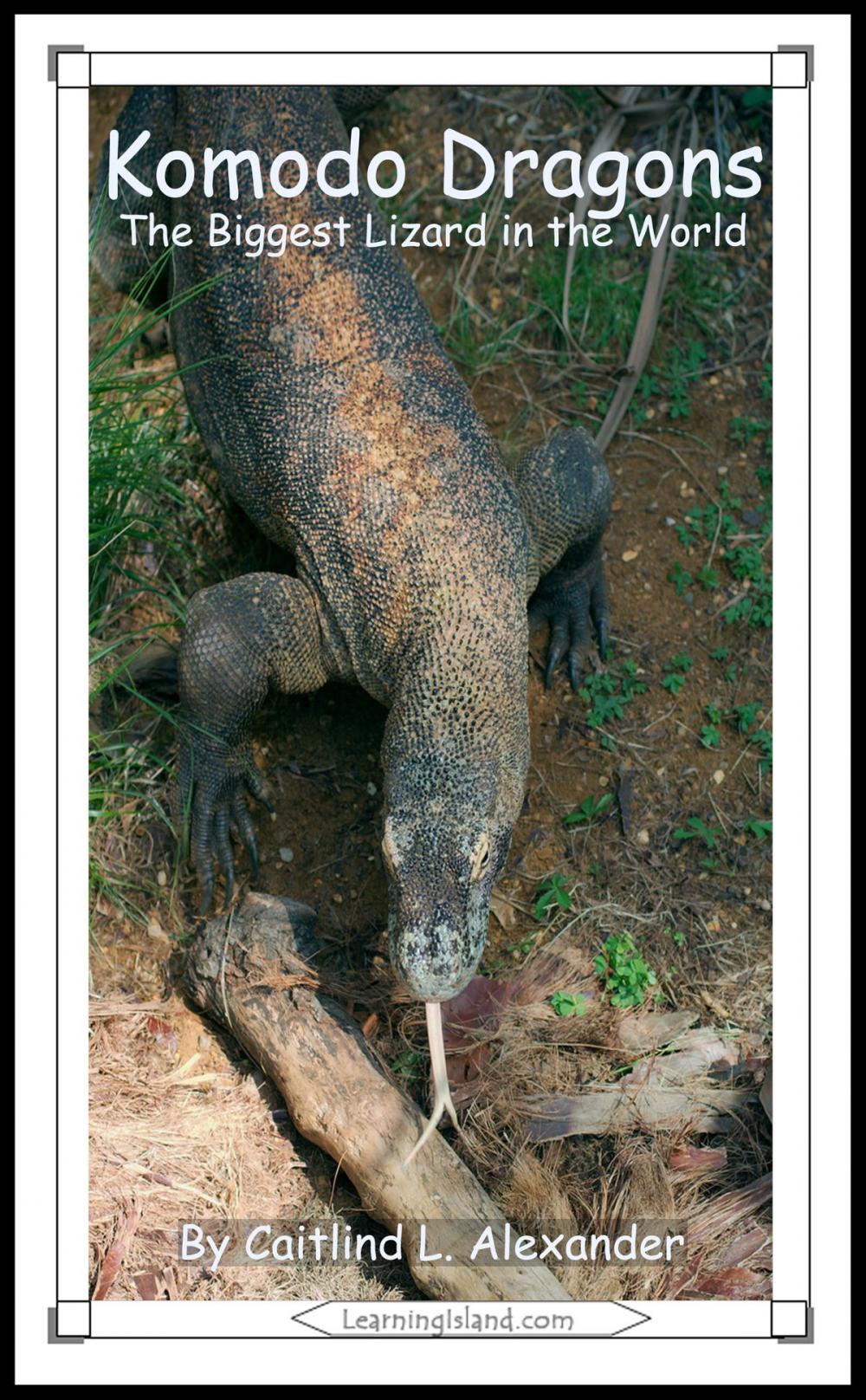 Big bigCover of Komodo Dragons: The Biggest Lizard in the World