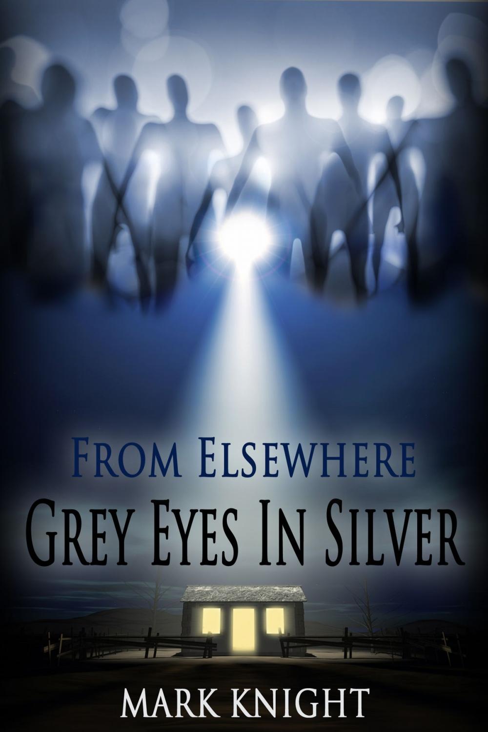 Big bigCover of Grey Eyes In Silver