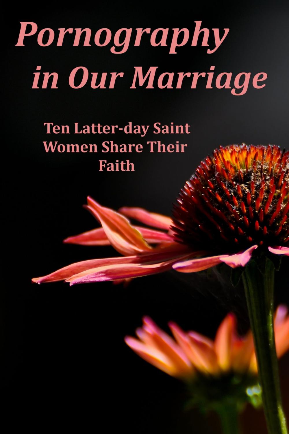 Big bigCover of Pornography in Our Marriage: Ten Latter-day Saint Women Share Their Faith