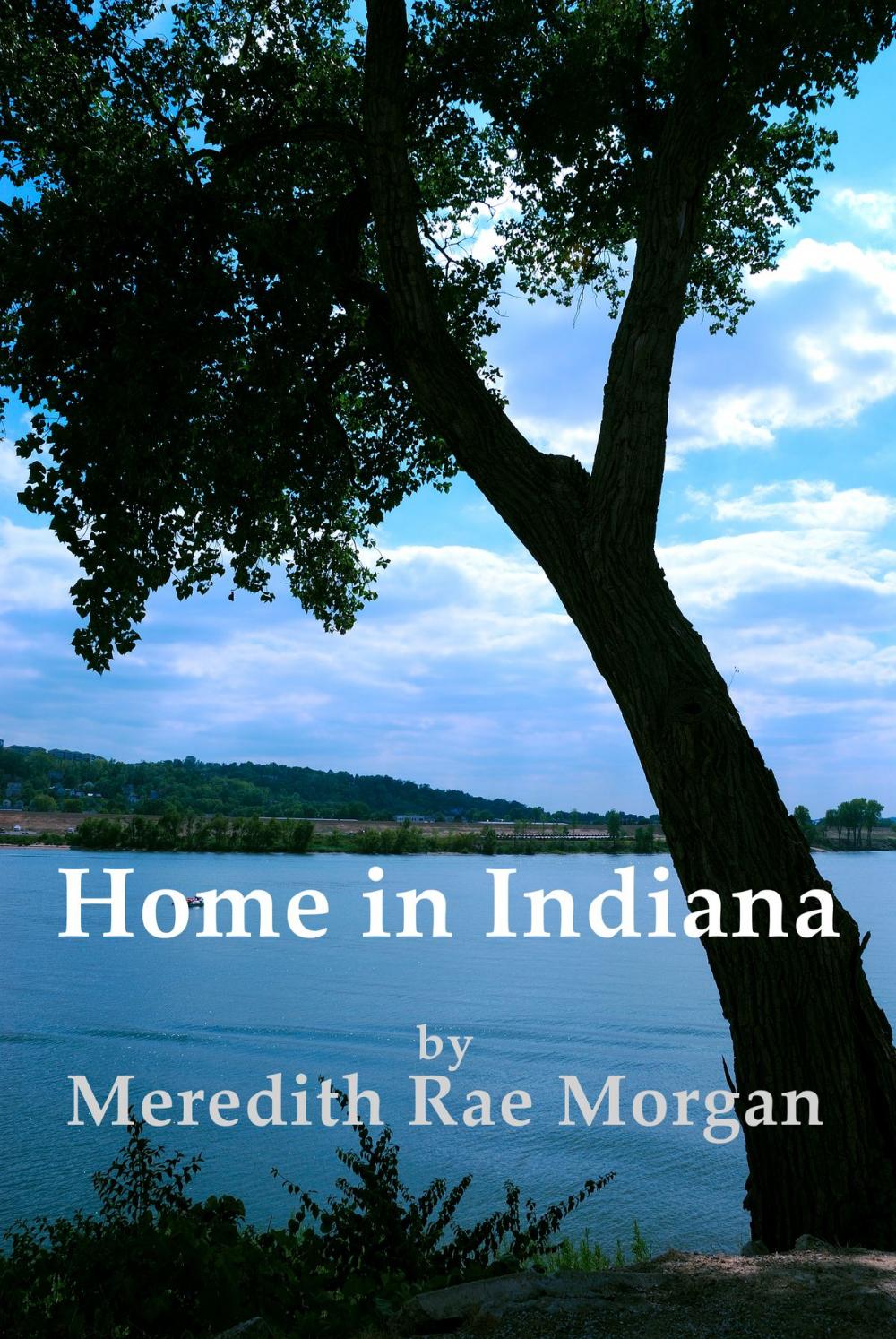 Big bigCover of Home In Indiana