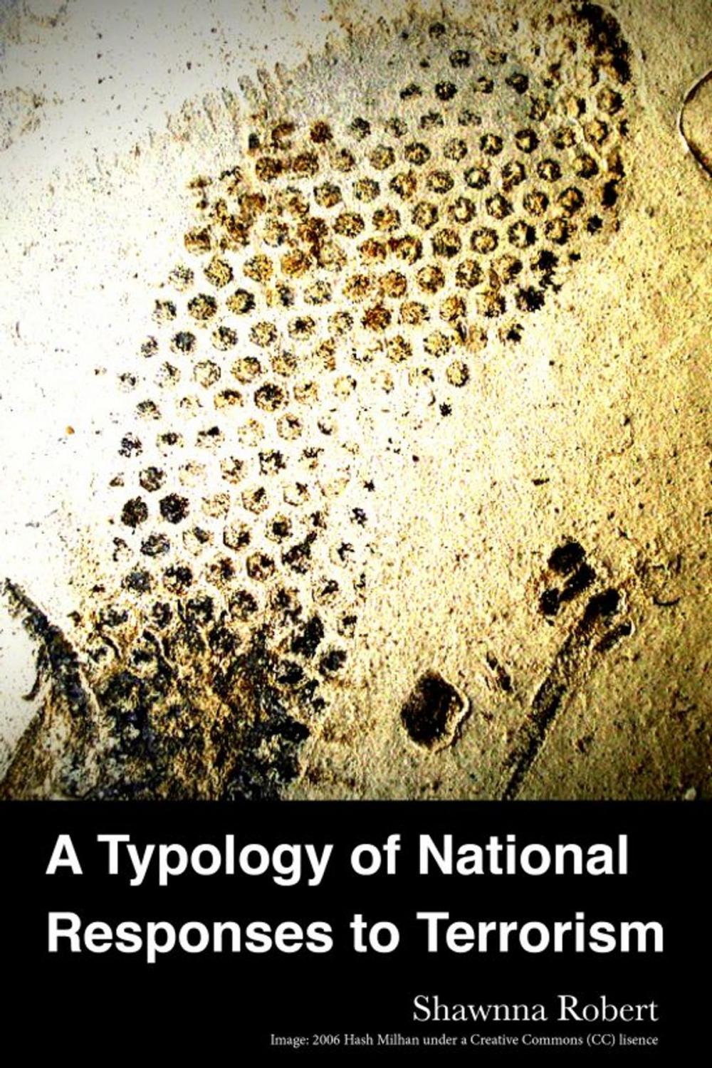 Big bigCover of A Typology of National Responses to Terrorism