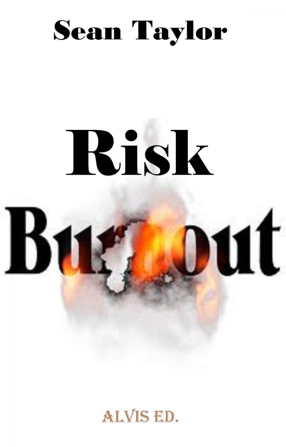 Big bigCover of Risk Burnout