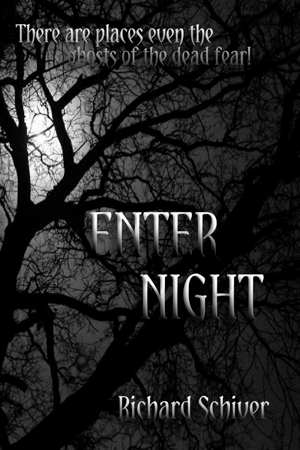 Big bigCover of Enter Night