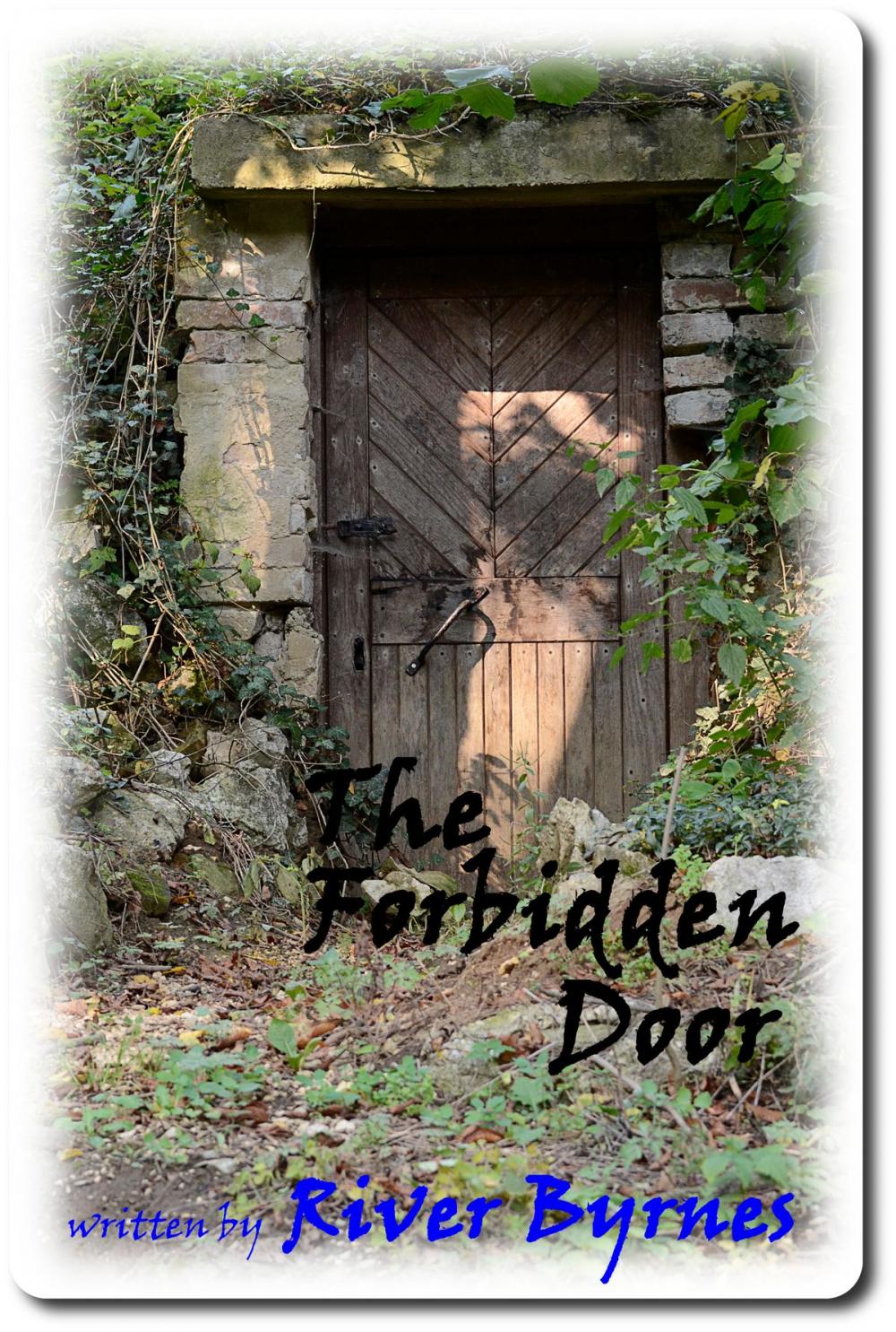 Big bigCover of The Forbidden Door