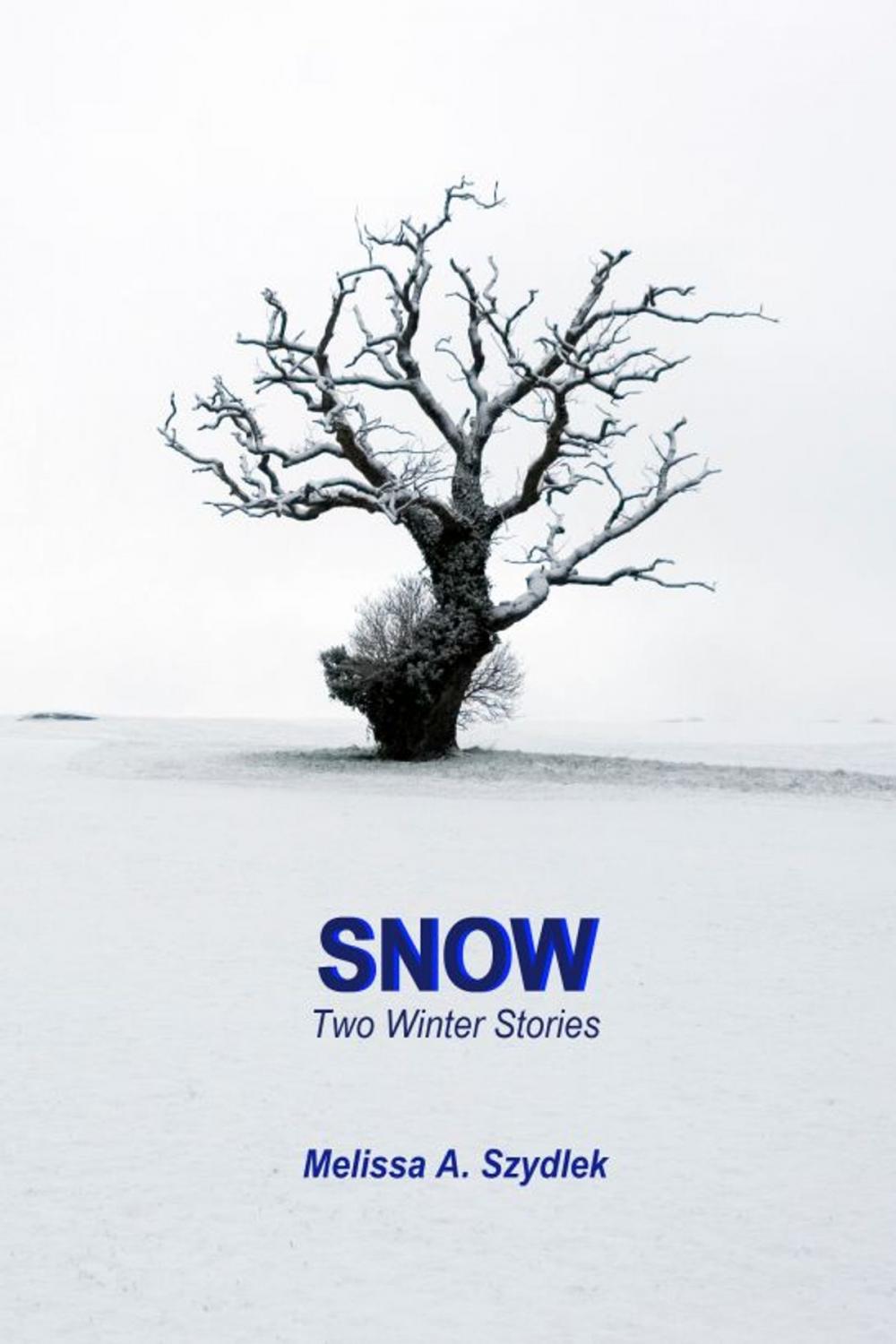 Big bigCover of Snow: Two Winter Stories