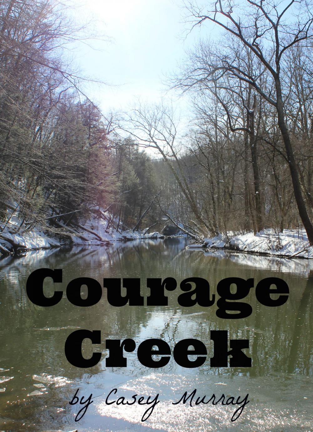 Big bigCover of Courage Creek