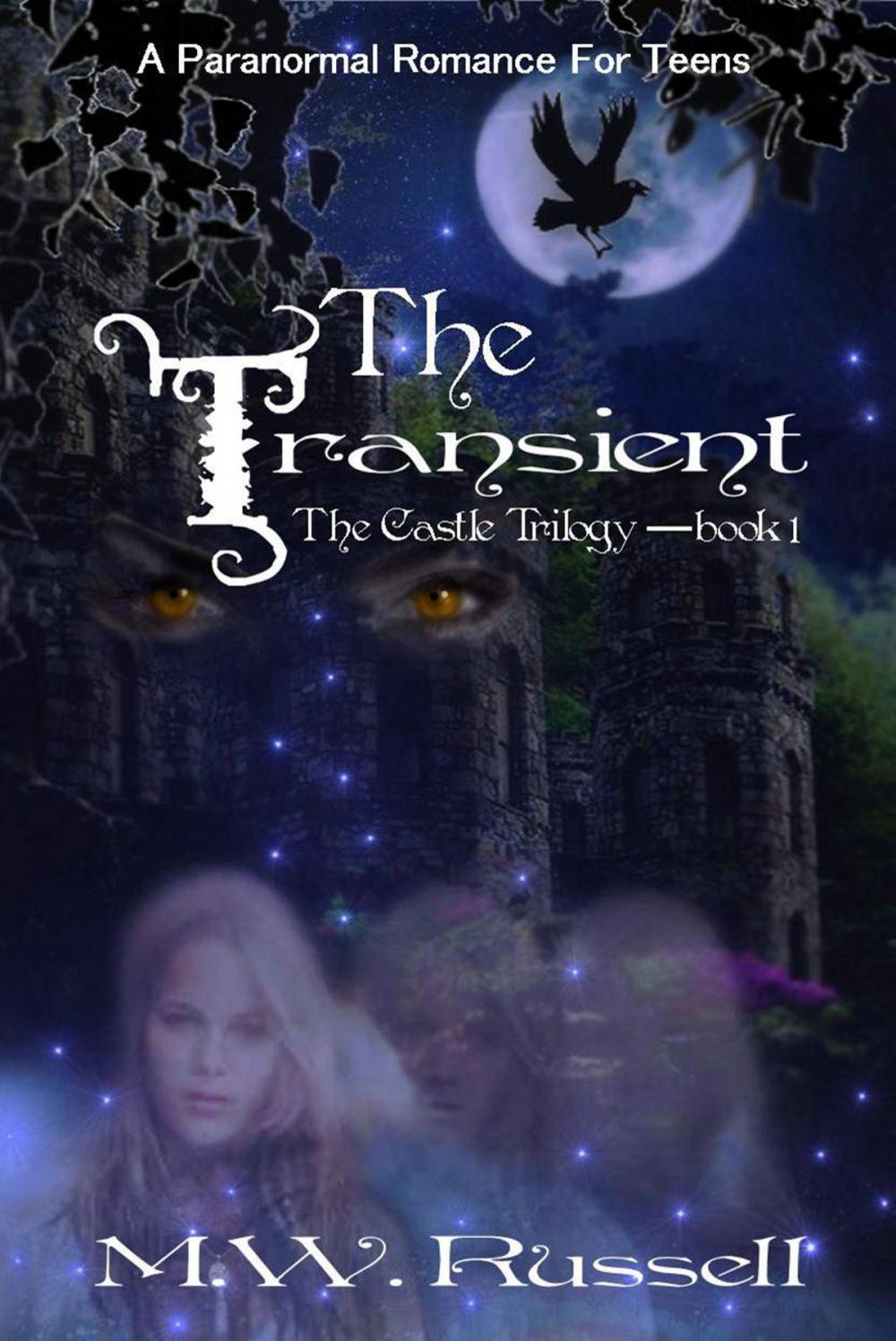 Big bigCover of The Transient: The Castle Trilogy