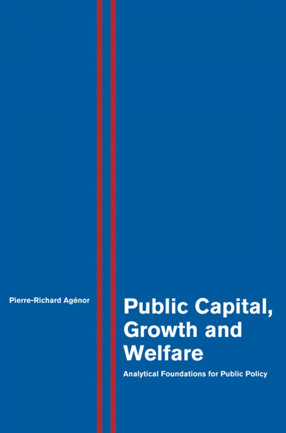 Big bigCover of Public Capital, Growth and Welfare