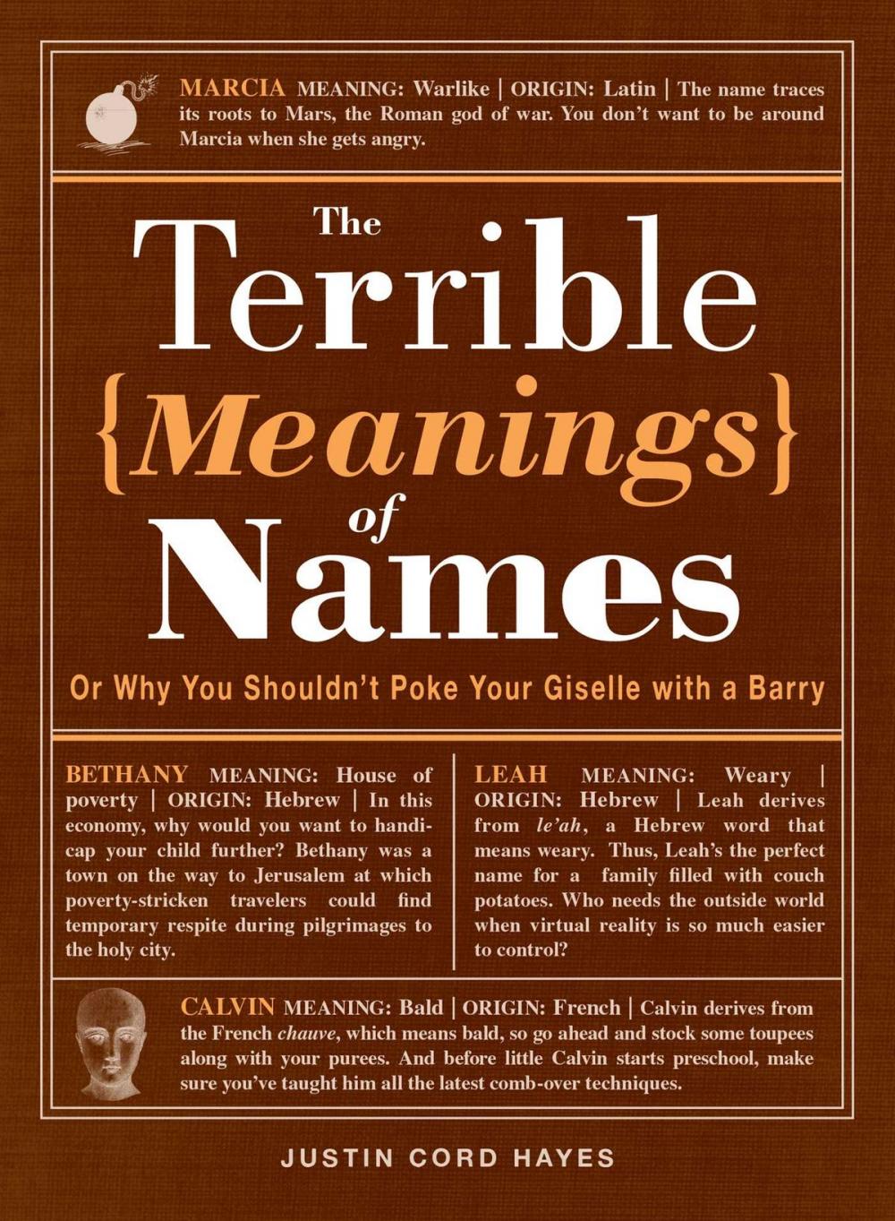 Big bigCover of The Terrible Meanings of Names