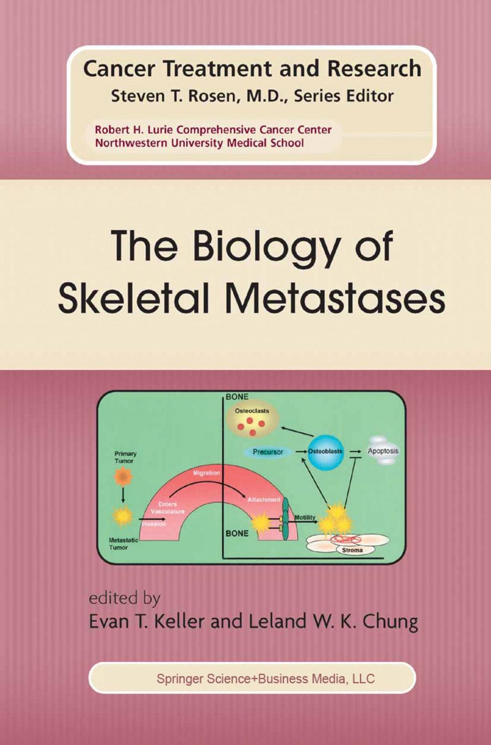 Big bigCover of The Biology of Skeletal Metastases