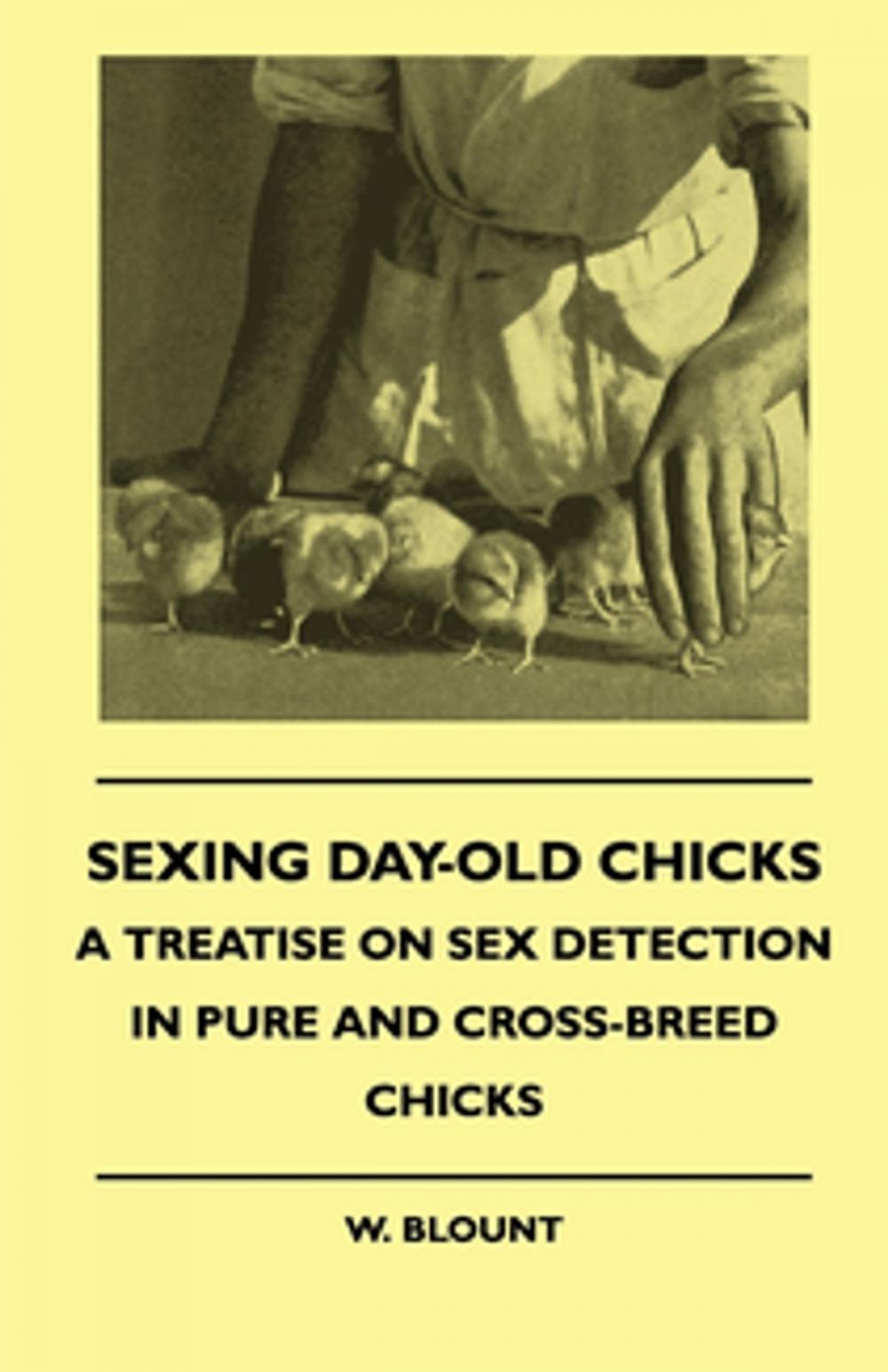 Big bigCover of Sexing Day-Old Chicks - A Treatise on Sex Detection in Pure and Cross-Breed Chicks