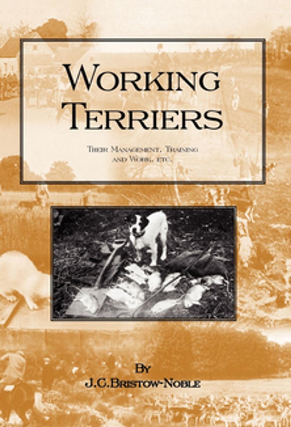 Big bigCover of Working Terriers - Their Management, Training and Work, Etc.