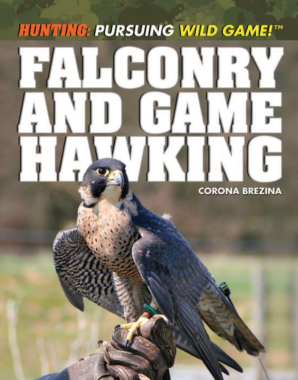 Big bigCover of Falconry and Game Hawking