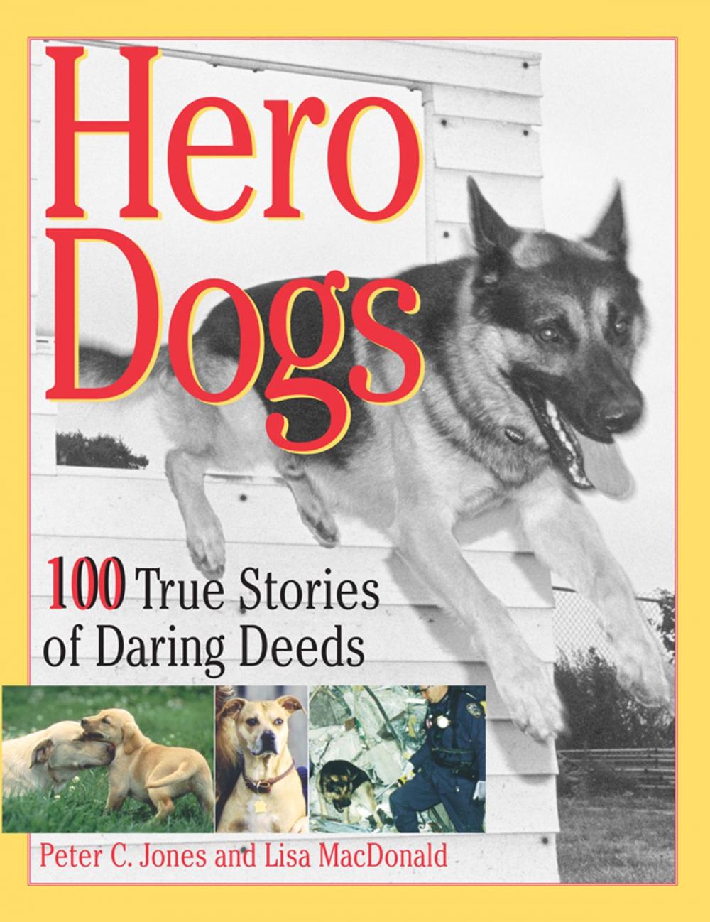 Big bigCover of Hero Dogs