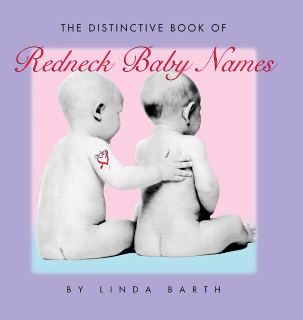 Big bigCover of The Distinctive Book of Redneck Baby Names