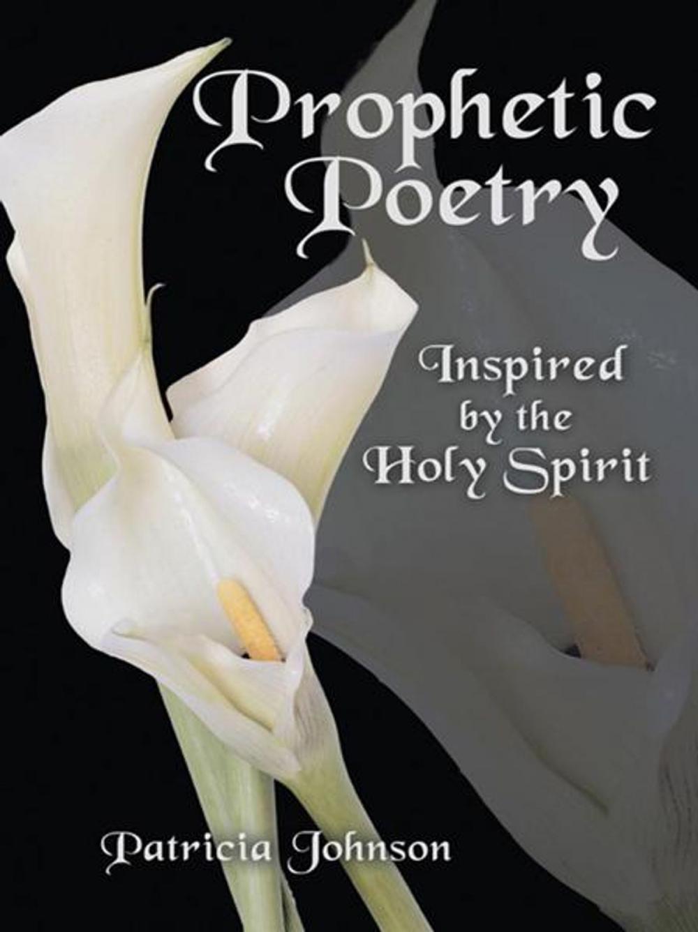 Big bigCover of Prophetic Poetry