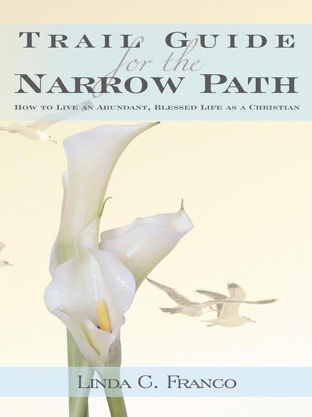 Big bigCover of Trail Guide for the Narrow Path