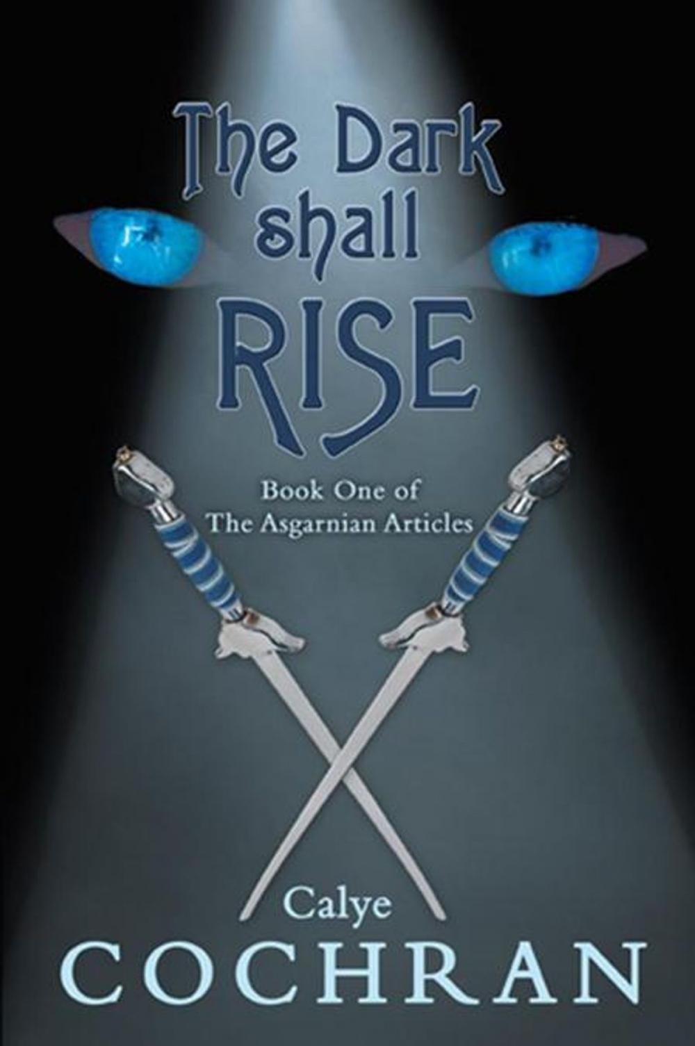 Big bigCover of The Dark Shall Rise