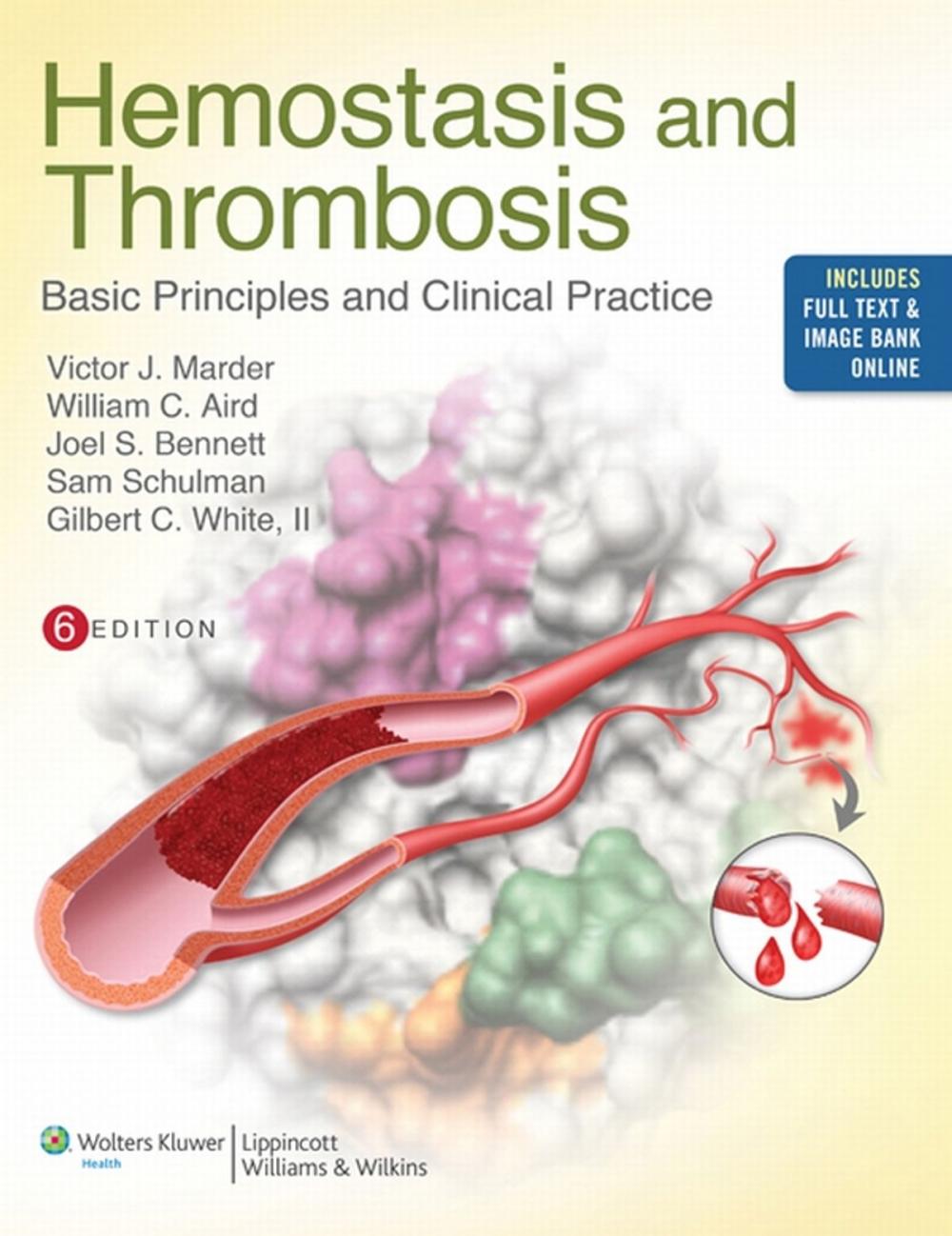 Big bigCover of Hemostasis and Thrombosis