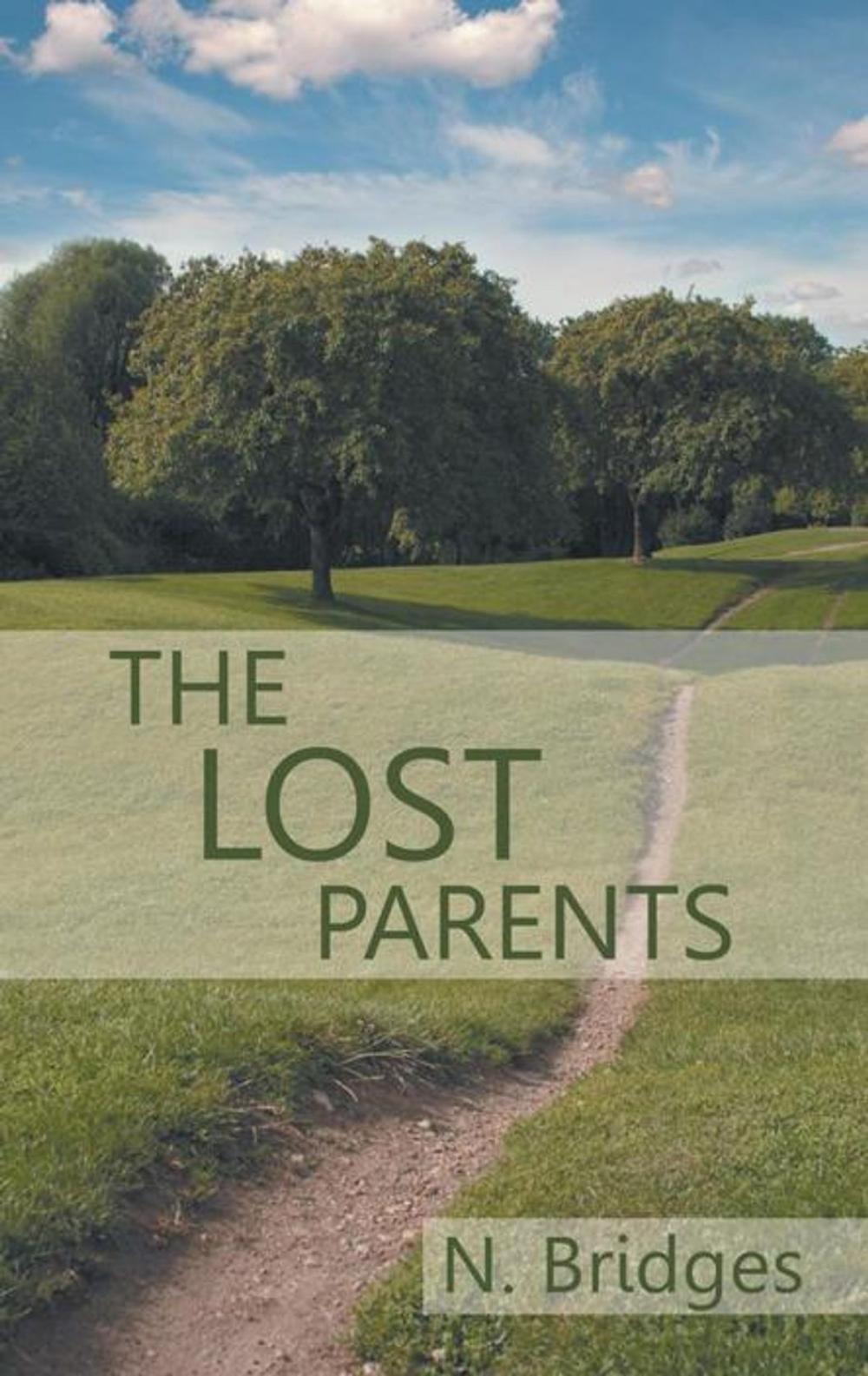 Big bigCover of The Lost Parents