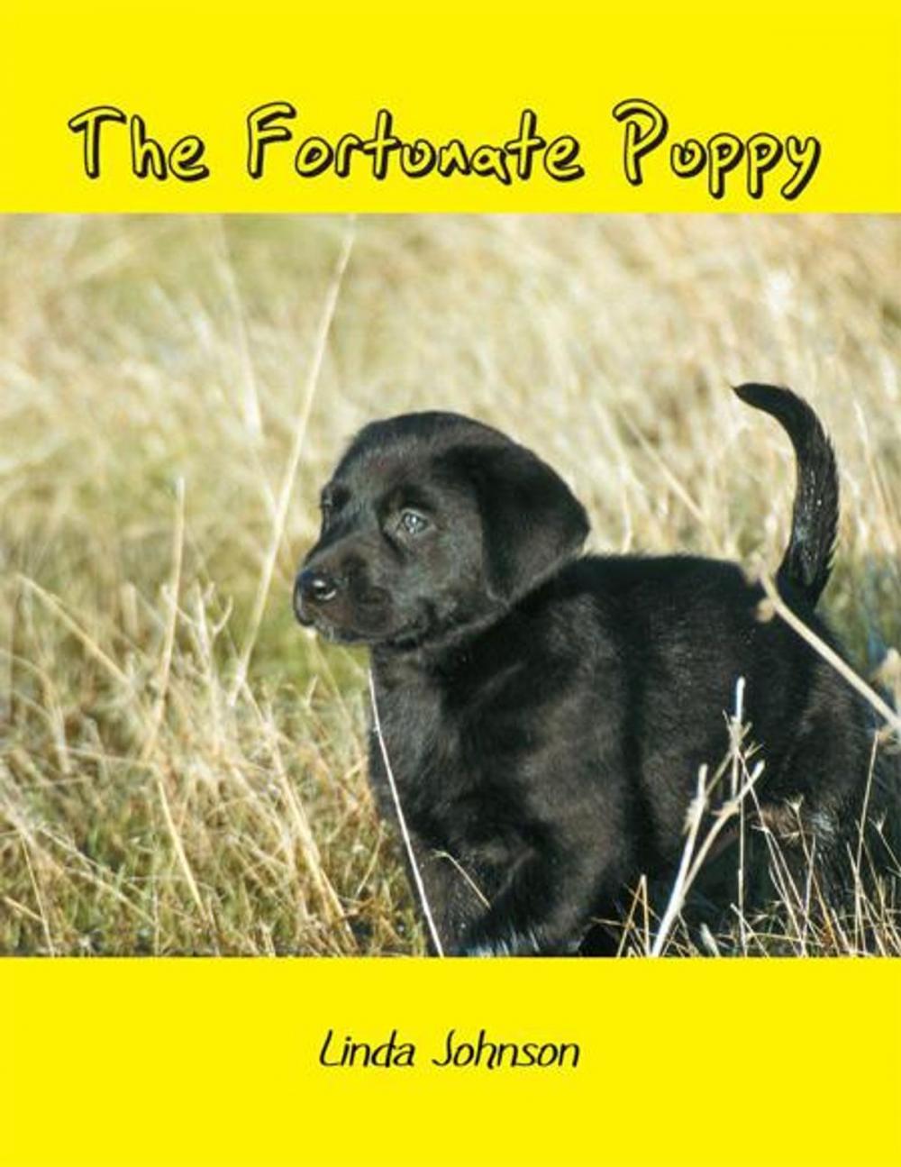 Big bigCover of The Fortunate Puppy