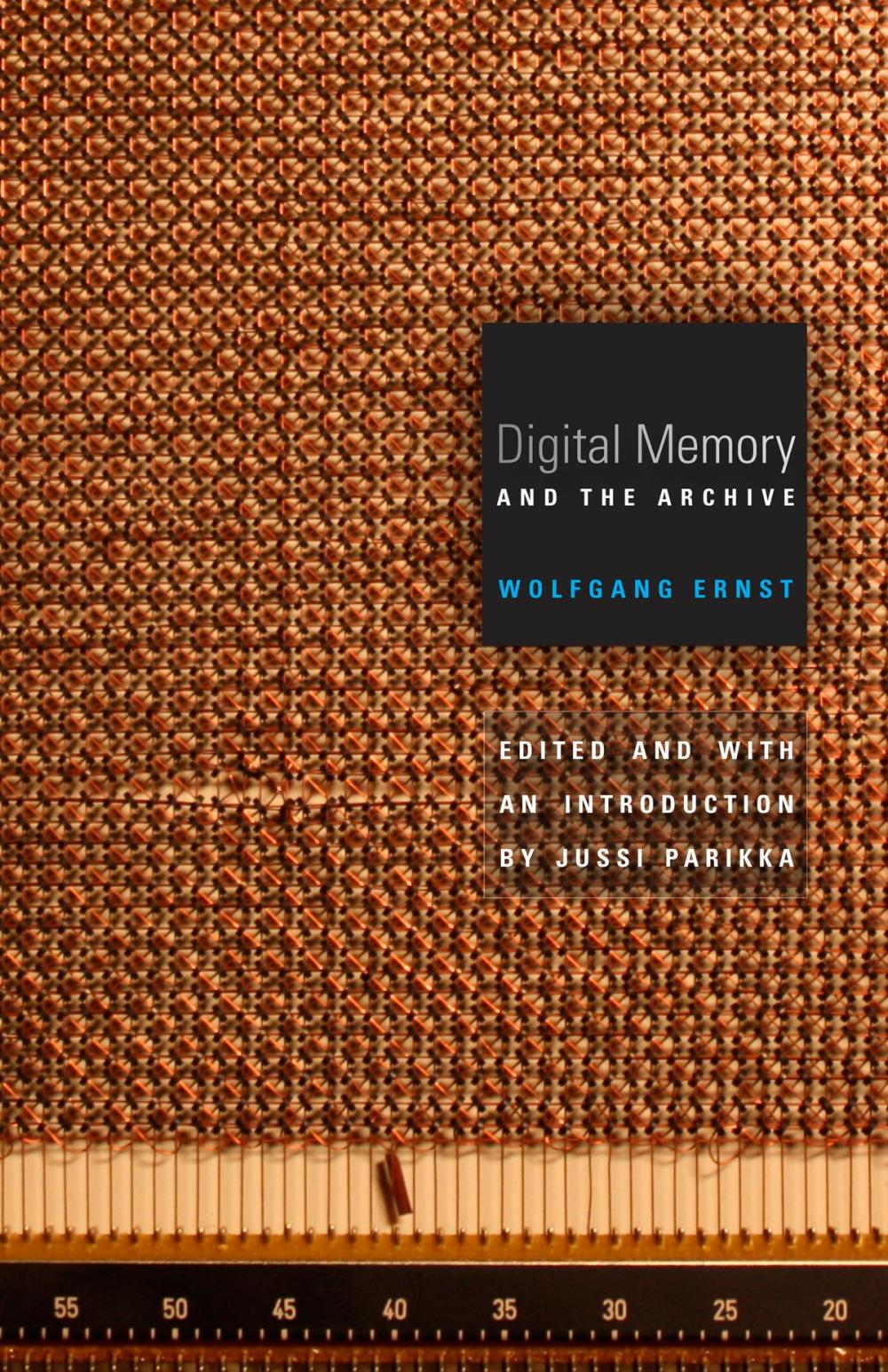 Big bigCover of Digital Memory and the Archive