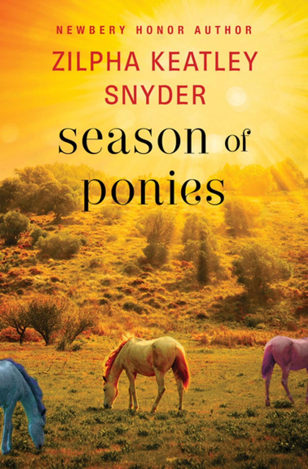 Big bigCover of Season of Ponies