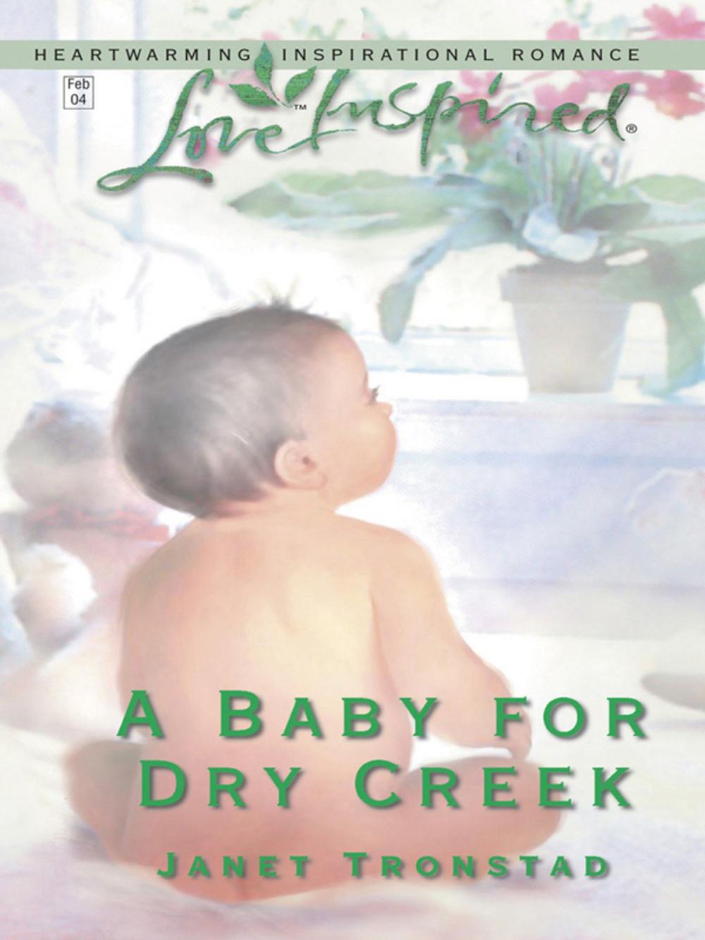 Big bigCover of A Baby for Dry Creek