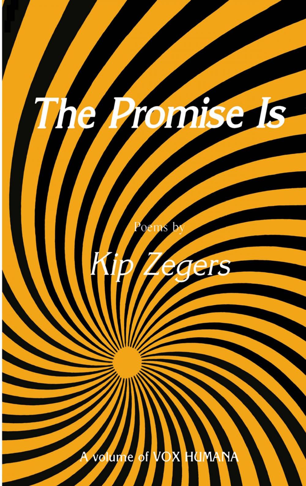 Big bigCover of The Promise Is