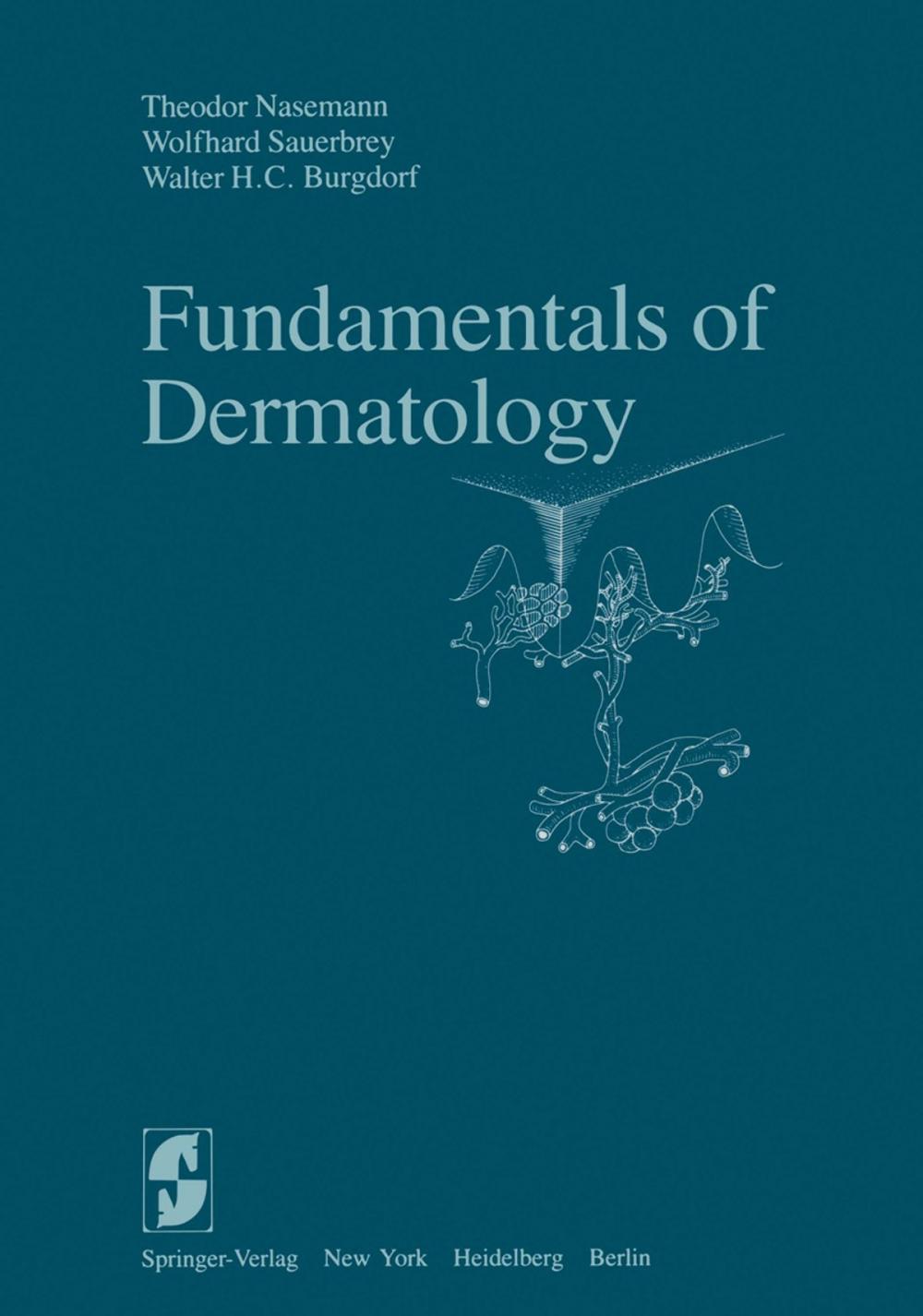 Big bigCover of Fundamentals of Dermatology