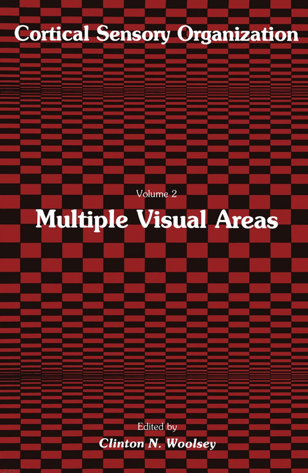 Big bigCover of Multiple Visual Areas